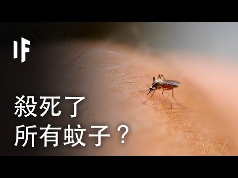 /data/videos/大胆科学-如果我们杀死了所有蚊子