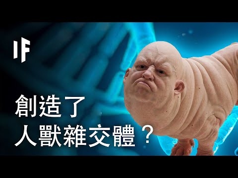 大脑科学-如果我们创造了人兽杂交体？