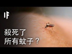 大胆科学-如果我们杀死了所有蚊子？