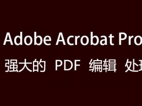 [PDF编辑软件]PDF文档编辑软件Adobe Acrobat下载,Adobe Acrobat Pro 2020 DC中文直装破解版