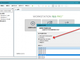 [工具软件]VMware Workstation威睿虚拟机软件下载,VMware Workstation v15.5.2 绿色精简版
