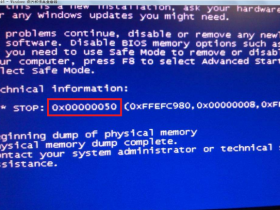 [系统教程]Win10专业版蓝屏代码000000050怎么解决？