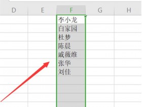 办公软件使用之Excel表格如何按照文字排序