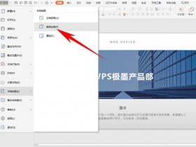 办公软件使用之PPT怎么防偷看