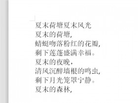 办公软件使用之Word文档中怎么设置双行合一