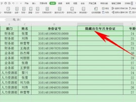 办公软件使用之Excel表格中怎么隐藏身份证号生日