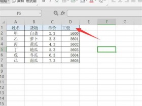 办公软件使用之Excel如何隐藏工资额 ？Excel隐藏工资额方法