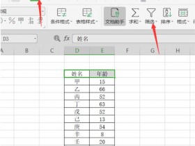 办公软件使用之WPS如何使用筛选器进行筛选分类?WPS使用筛选器进行筛选分类方法