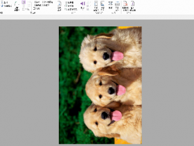办公软件使用之怎么使用福昕PDF编辑器给PDF文件旋转视图?