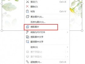 办公软件使用之怎么把Word中的图片导出来保存?