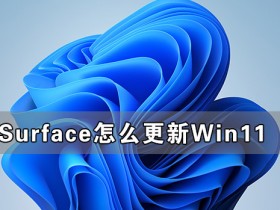 [系统教程]Surface怎么更新Win11 Surface笔记本更新Win11教程