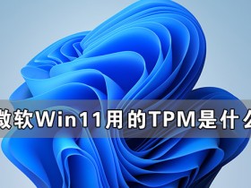 [系统教程]微软Win11用的TPM到底是什么 有关TPM详细解答