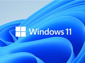 [系统教程]Windows11常见问题有哪些？Windows11常见问题汇总及解答