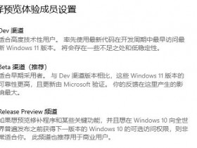 [系统教程]Windows11选dev渠道还是beta渠道？