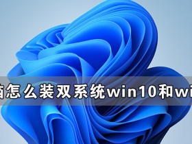 [系统教程]电脑怎么装双系统Win10和Win11 电脑装Win10和Win11双系统教程