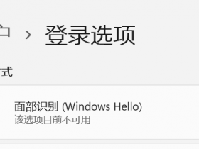 [系统教程]Win11更新22000.100后Windows Hello不可用怎么办？
