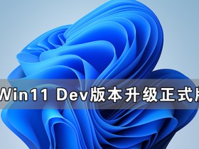 [系统教程]Win11 Dev版本可以升级正式版吗？