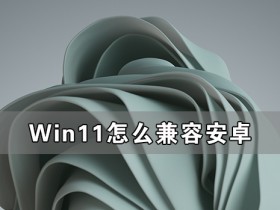 [系统教程]Win11怎么兼容安卓 Win11兼容安卓原理解析
