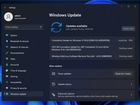 [系统教程]Cumulative Update for Windows11(10.0.22000.132)(KB5005190)更新失败怎么办？