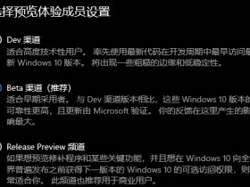 [系统教程]安装Windows11预览体验成员Beat渠道怎么设置？