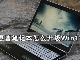[系统教程]惠普笔记本怎么升级Win11 惠普笔记本升级Win11详细教程