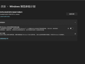 [系统教程]Windows11预览体验计划无法选择渠道怎么办？