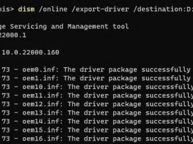 [系统教程]如何在Windows11中使用DISM命令导出驱动程序？