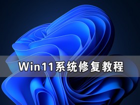 [系统教程]Win11系统怎么修复 Win11系统修复教程