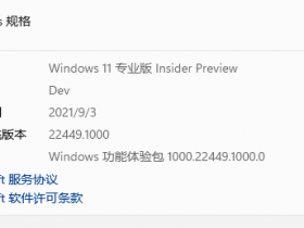 [系统教程]Windows11 22454收不到或提示某些更新文件没有正确签名和TPM验证通不过解决方法