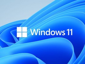 [系统教程]Windows11怎么看能不能升级 不能升级Win11又该怎么办