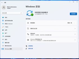 [系统教程]Win10 21H1不想意外更新到Windows 11的方法