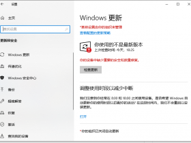 [系统教程]Windows11下载到100%不动了是什么原因 Windows11下载到100%不动了怎么办