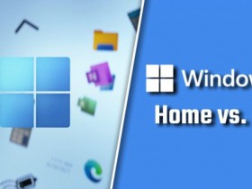 [系统教程]Win11家庭版怎么转换成Win11专业版？Win11家庭版升级Win11专业版方法