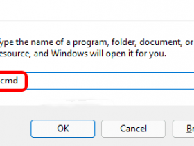 [系统教程]Win11系统打开或关闭Windows功能显示空白怎么办？