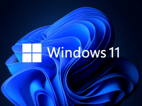 [系统教程]Win11精简中文版下载 Windows11最新精简版镜像下载