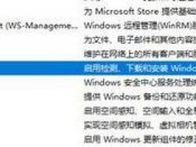 [系统教程]Win11服务Windows Update禁用后自动开启怎么办