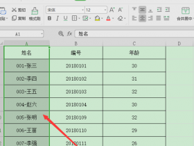 办公软件使用之怎么批量删除Excel电子表格中不同的文字？