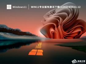 [系统教程]Win11全新系统22H2专业版镜像下载(永久激活)