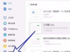 办公软件使用之WPS文档中怎么提取图片中文字的方法分享