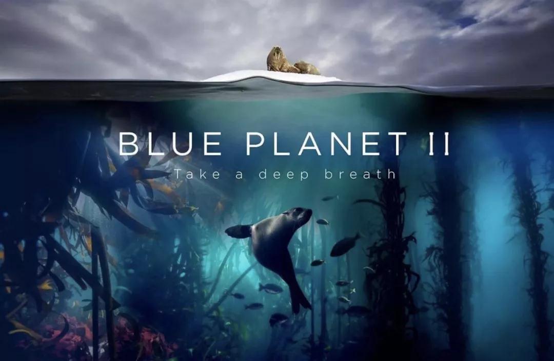 《蓝色星球2》（2017）Blue Planet II 