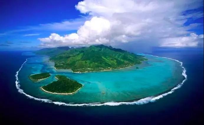 《大堡礁》 （2012） Great Barrier Reef 