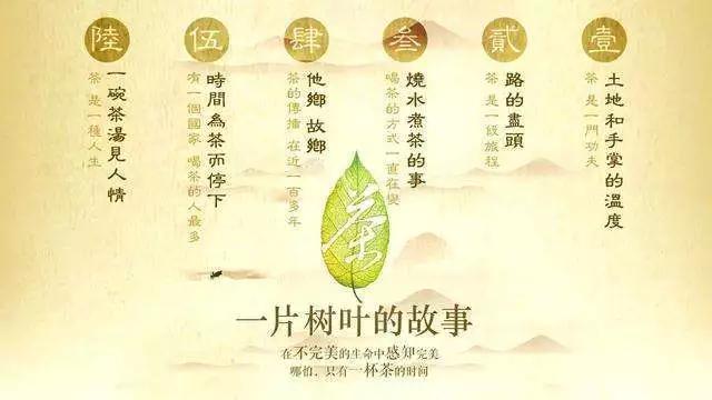 国产纪录片茶，一片树叶的故事