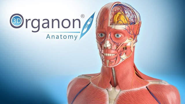 [行业软件]3D Organon人体解剖软件下载,3D Organon Anatomy V3.0.0 便携完整注册版