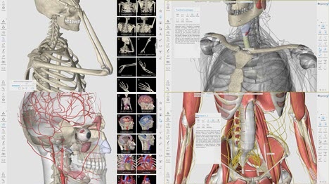 [行业软件]3D Organon人体解剖软件下载,3D Organon Anatomy V3.0.0 便携完整注册版