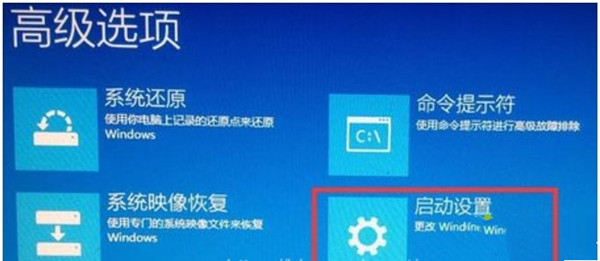 [系统教程]1660显卡驱动与Win10不兼容如何解决？