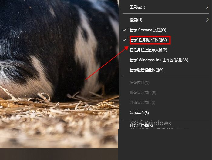 [系统教程]Win10专业版任务视图快捷键是什么？Win10任务视图打开的方法