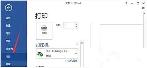 [系统教程]Win10 20H2系统使用Word文档打印不出图片怎么回事？