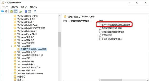 [系统教程]怎么阻止更新至Win10 20H2？