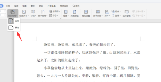 办公软件使用之如何使用WPS中word设置横向页面？