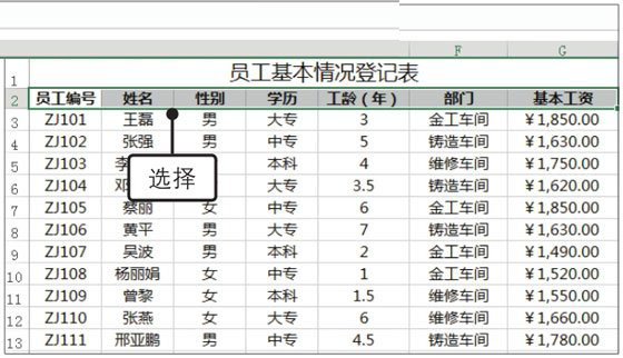 办公软件使用之Excel2019怎么自动筛选？Excel2019中自动筛选数据的方法